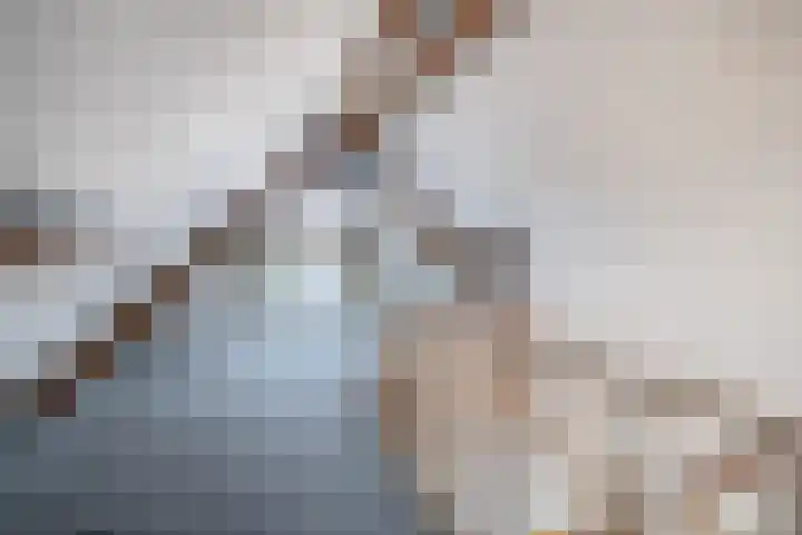 Oostdijk 33 Sommelsdijk thumbnail 30