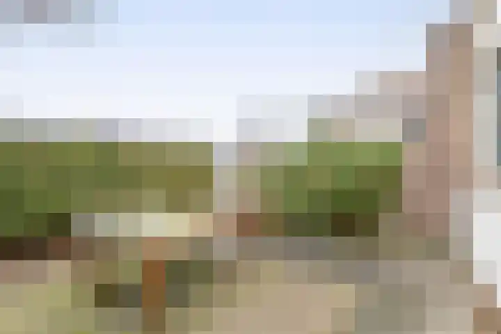 Oostdijk 33 Sommelsdijk thumbnail 32