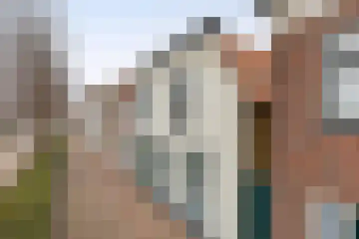 Oostdijk 33 Sommelsdijk thumbnail 6