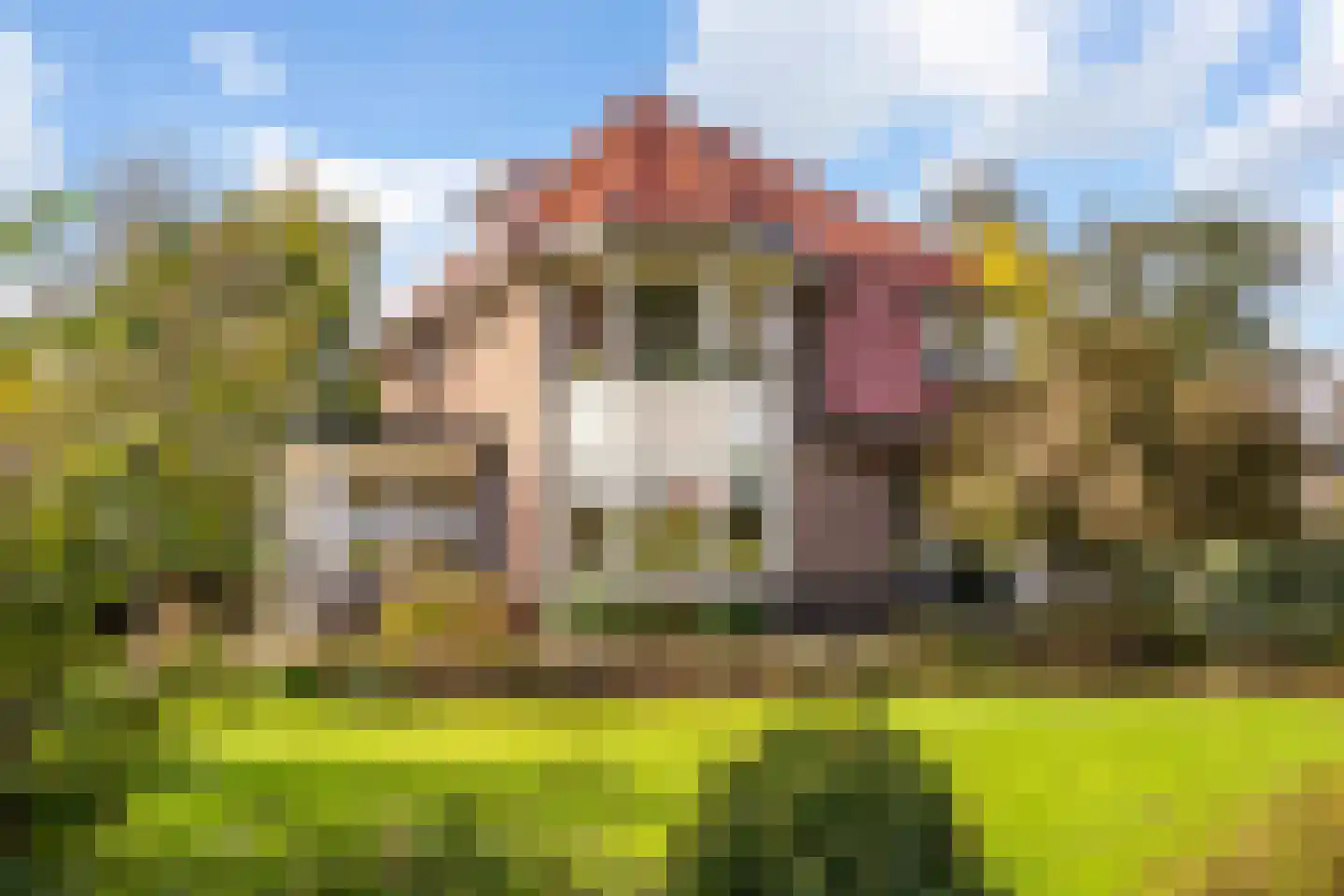Oostdijk 43 in Sint Philipsland