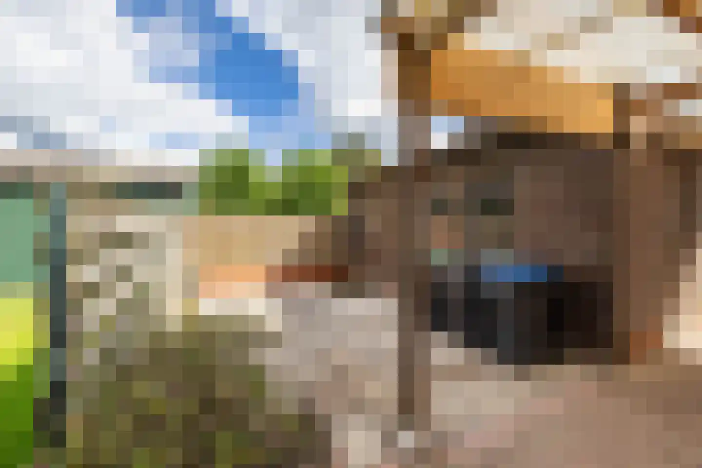 Oosteind 21 Norg thumbnail 33