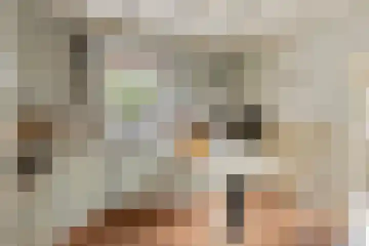 Oosteind 59 Sprang-Capelle thumbnail 14