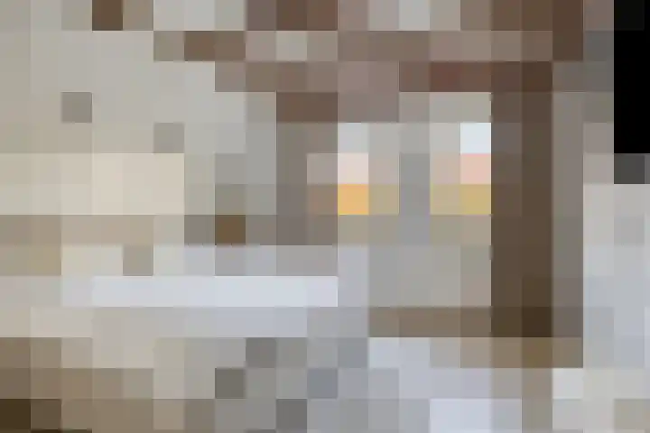 Oosteind 59 Sprang-Capelle thumbnail 17
