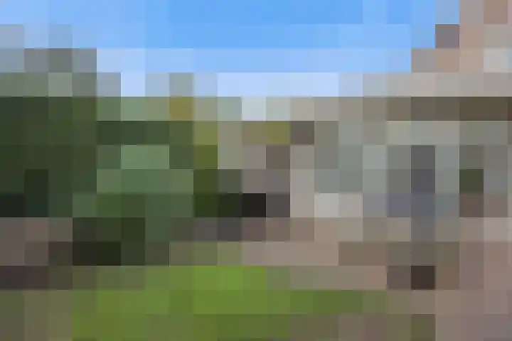 Oosteind 59 Sprang-Capelle thumbnail 36