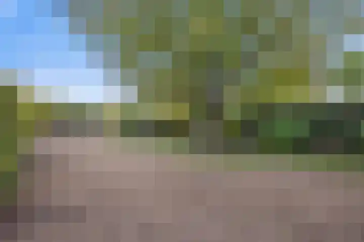 Oosteind 59 Sprang-Capelle thumbnail 39