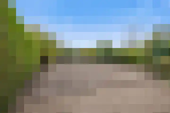 Oosteind 59 Sprang-Capelle thumbnail 40
