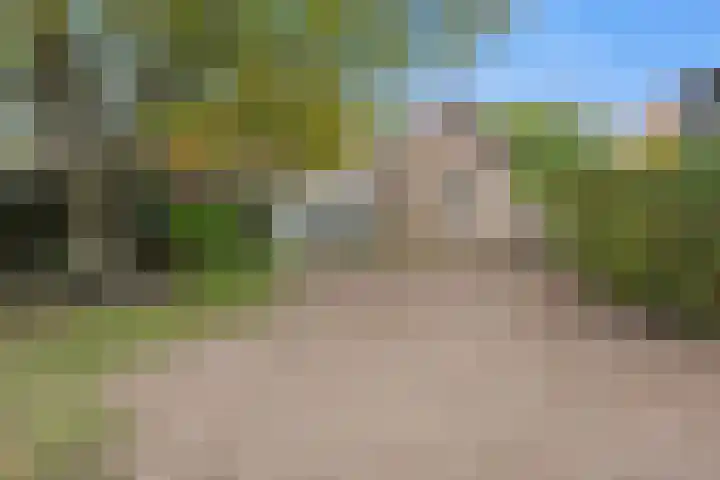 Oosteind 59 Sprang-Capelle thumbnail 41