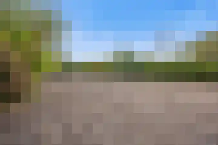 Oosteind 59 Sprang-Capelle thumbnail 42
