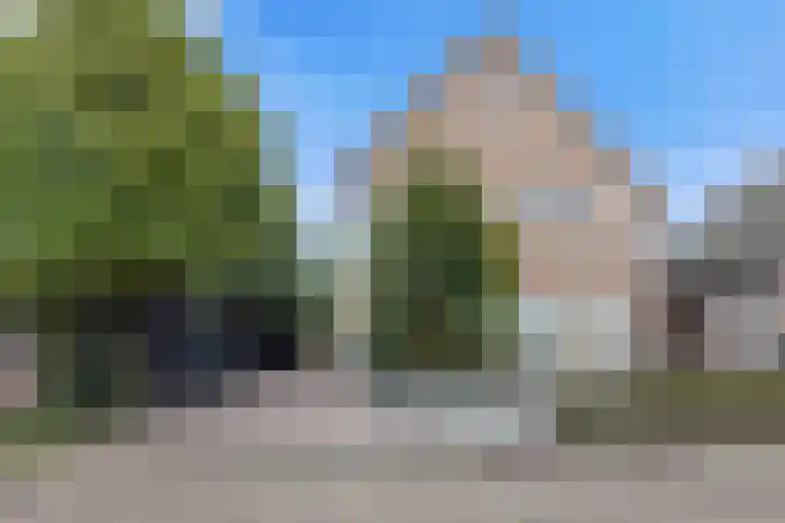 Oosteind 59 Sprang-Capelle thumbnail 43