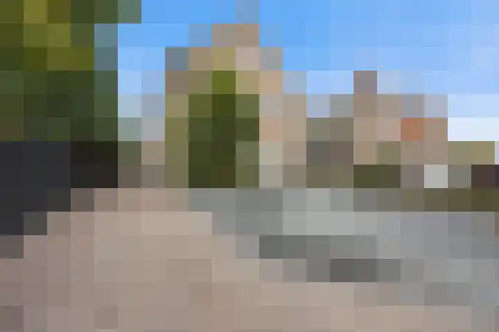 Oosteind 59 Sprang-Capelle thumbnail 45