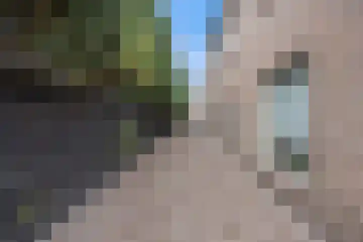 Oosteind 59 Sprang-Capelle thumbnail 46