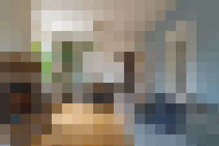 Oosteind 70 Sprang-Capelle thumbnail 14