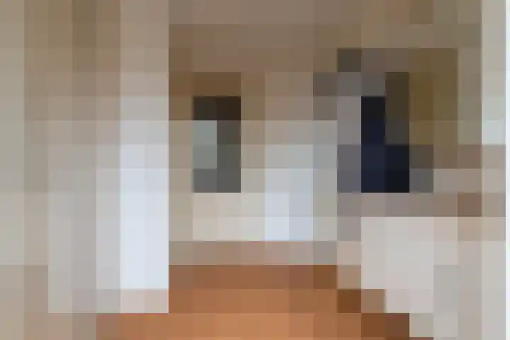 Oosteind 70 Sprang-Capelle thumbnail 19