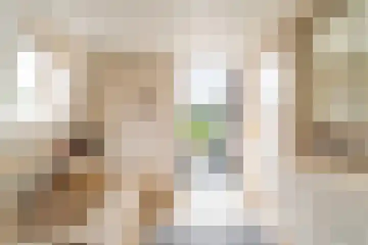 Oosteind 70 Sprang-Capelle thumbnail 26
