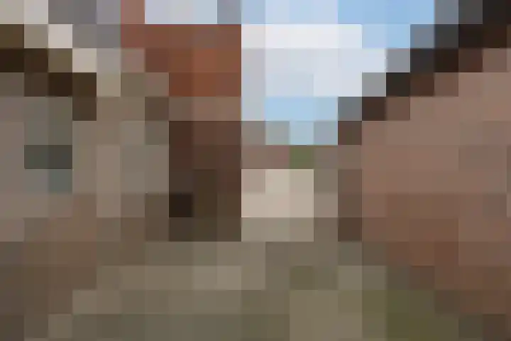 Oosteind 70 Sprang-Capelle thumbnail 4