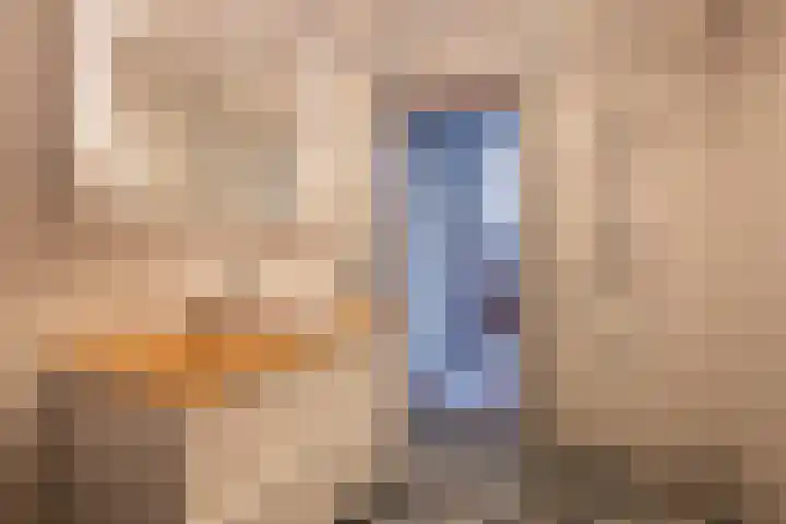 Oosteind 70 Sprang-Capelle thumbnail 8