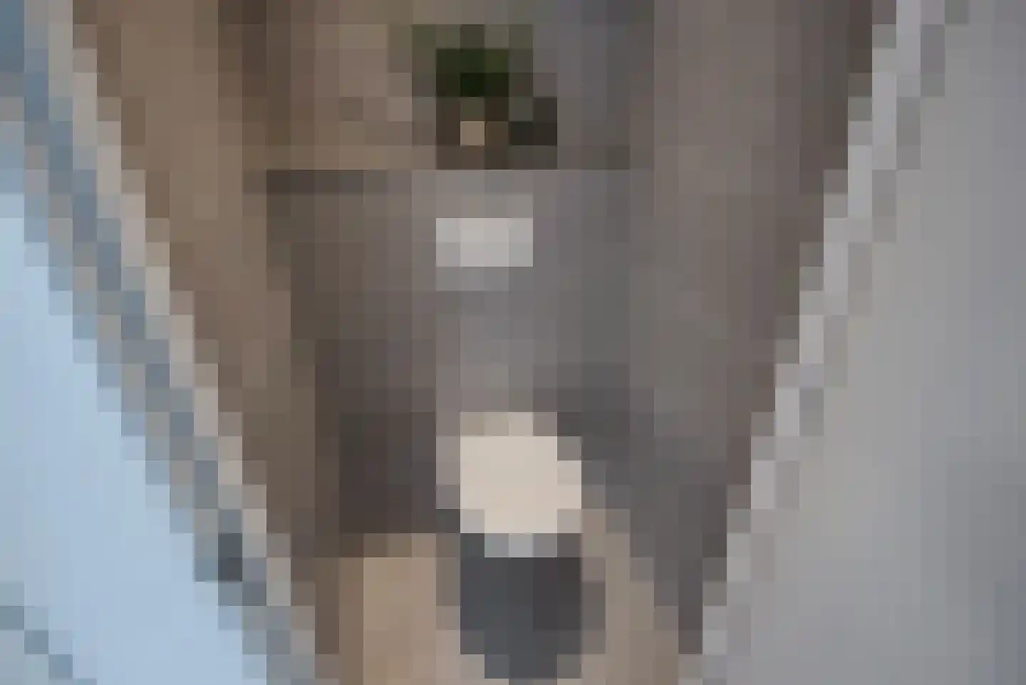 Oosteinde 1 B Delft thumbnail 9