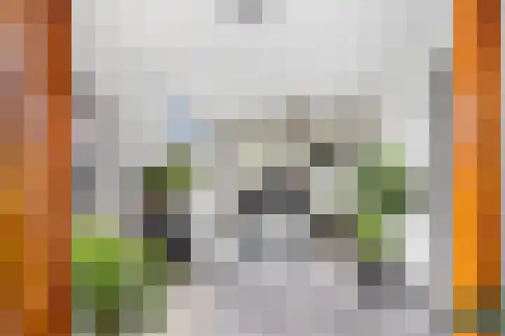 Oosteinde 10 St.-Jacobiparochie thumbnail 27