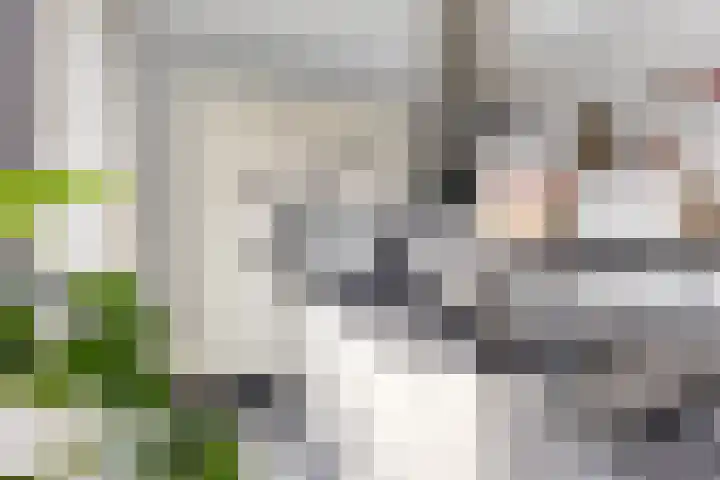 Oosteinde 10 St.-Jacobiparochie thumbnail 29