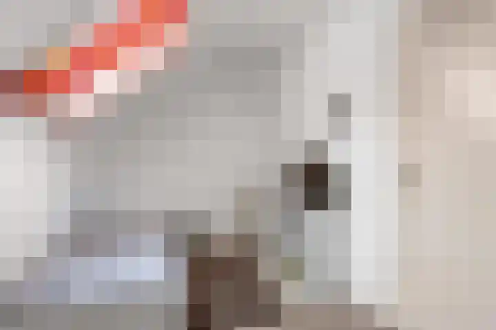 Oosteinde 10 St.-Jacobiparochie thumbnail 54