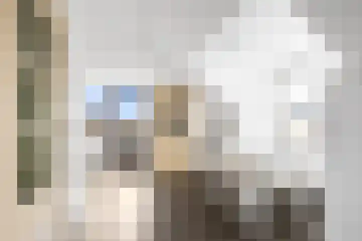 Oosteinde 10 St.-Jacobiparochie thumbnail 58