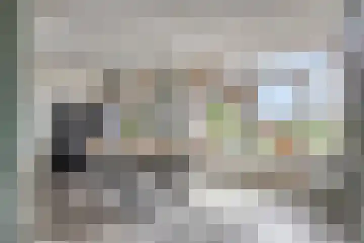 Oosteinde 101 Berkhout thumbnail 12