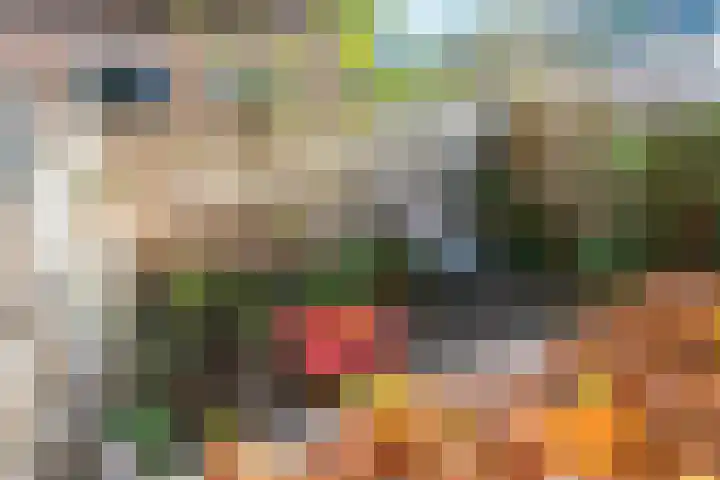 Oosteinde 101 Berkhout thumbnail 18