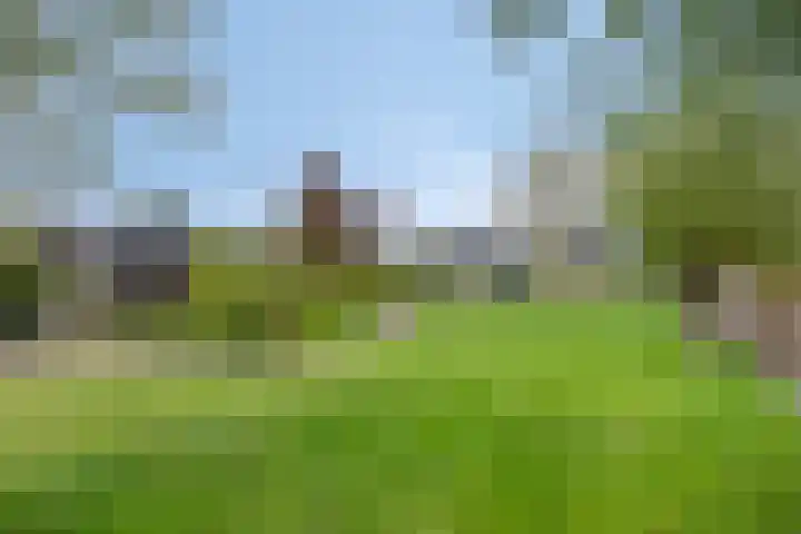 Oosteinde 101 Berkhout foto 2