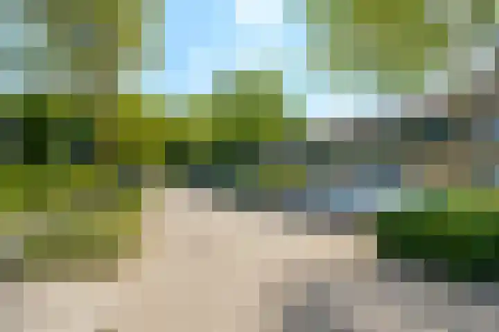 Oosteinde 101 Berkhout thumbnail 24