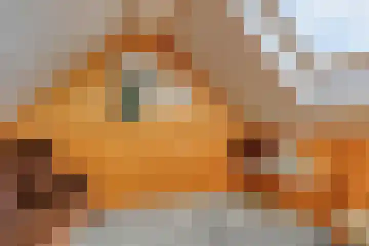 Oosteinde 101 Berkhout thumbnail 27