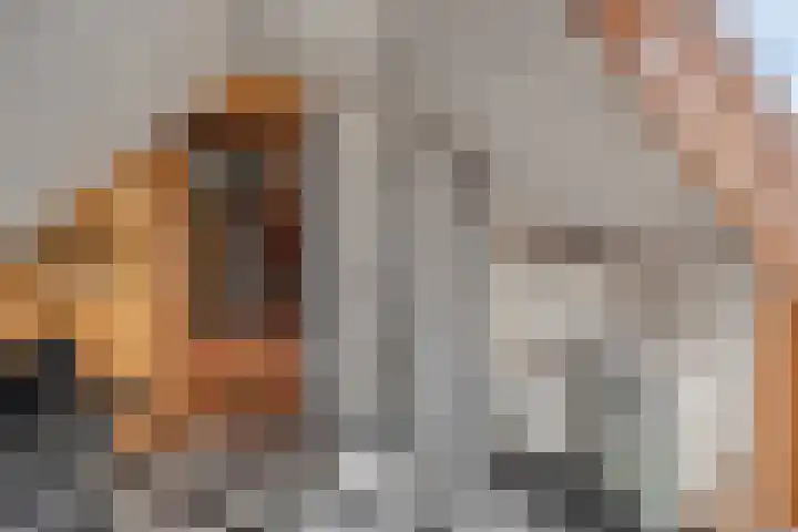 Oosteinde 101 Berkhout thumbnail 28