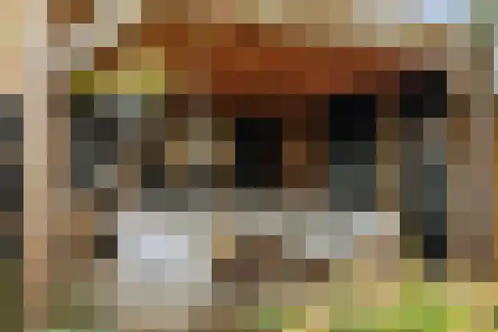 Oosteinde 101 Berkhout thumbnail 30