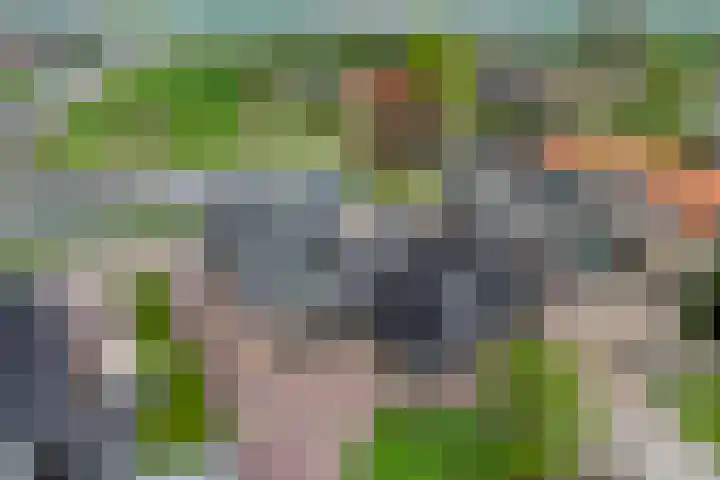 Oosteinde 101 Berkhout thumbnail 32