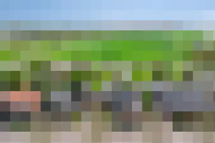 Oosteinde 101 Berkhout thumbnail 38