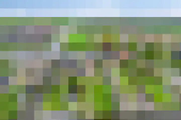 Oosteinde 101 Berkhout thumbnail 39