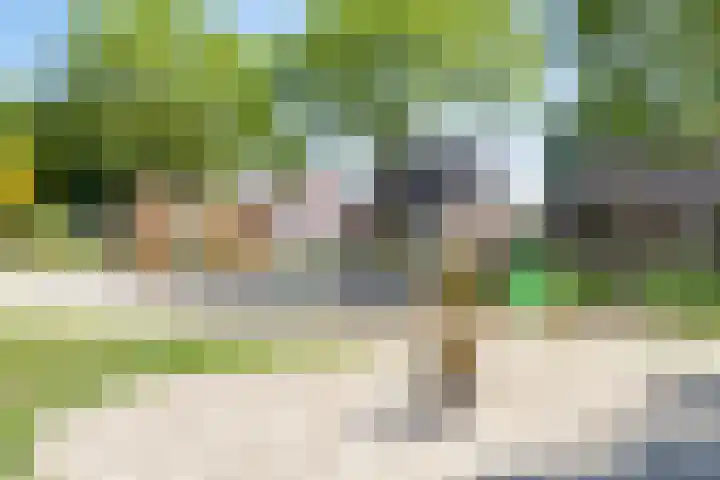 Oosteinde 101 Berkhout thumbnail 41