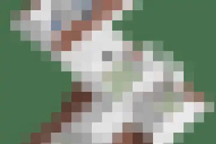 Oosteinde 101 Berkhout thumbnail 49