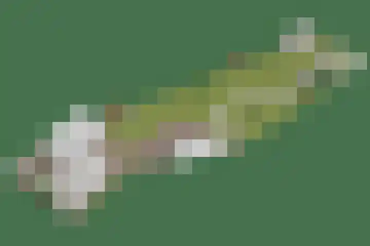 Oosteinde 101 Berkhout thumbnail 50