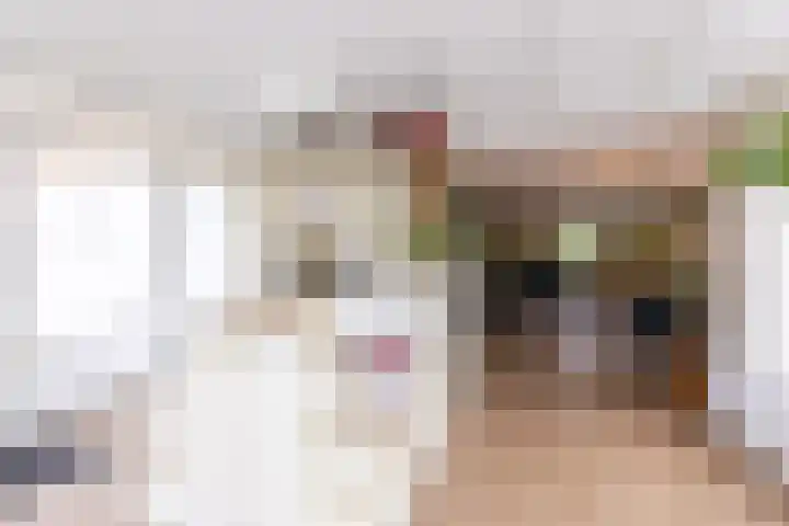 Oosteinde 115 Berkhout thumbnail 12