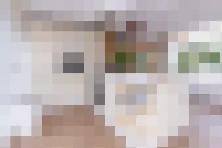 Oosteinde 115 Berkhout thumbnail 13