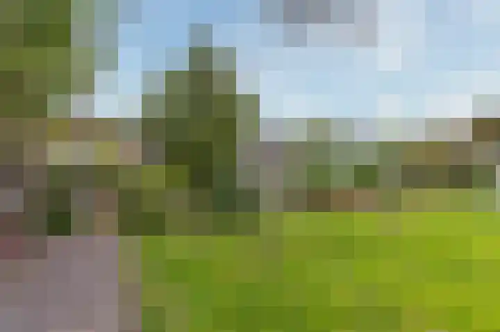 Oosteinde 115 Berkhout thumbnail 24