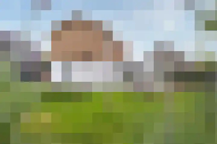 Oosteinde 115 Berkhout thumbnail 26