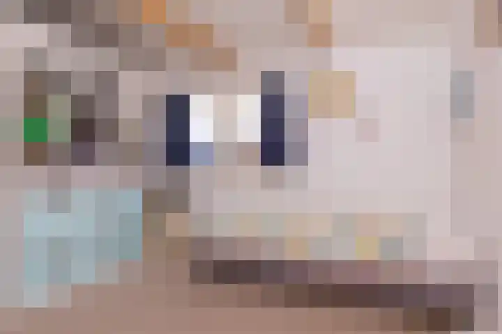 Oosteinde 115 Berkhout thumbnail 36