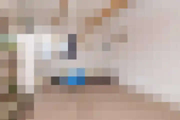 Oosteinde 115 Berkhout thumbnail 38