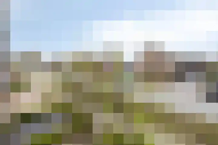 Oosteinde 13 Scherpenzeel thumbnail 27