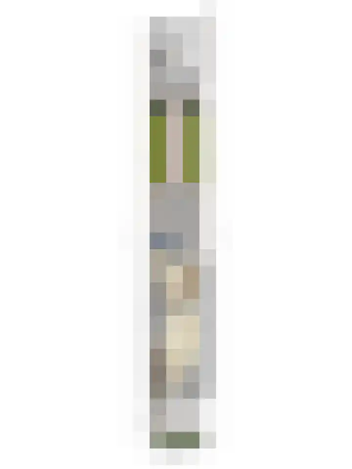 Oosteinde 13 Scherpenzeel thumbnail 34