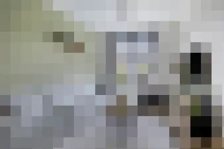 Oosteinde 13 Scherpenzeel thumbnail 4