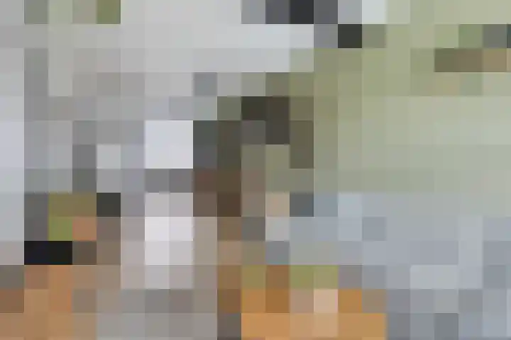 Oosteinde 13 Scherpenzeel thumbnail 5