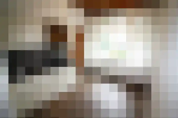Oosteinde 14 Vriezenveen thumbnail 7