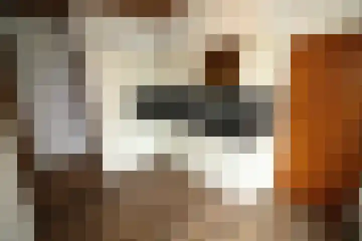 Oosteinde 14 Vriezenveen thumbnail 8